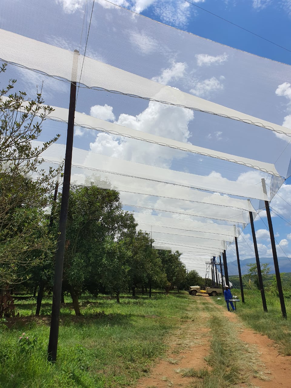 Mullin Construction Shade Net Houses Crop Shade